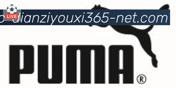 365电子游戏官网合作伙伴